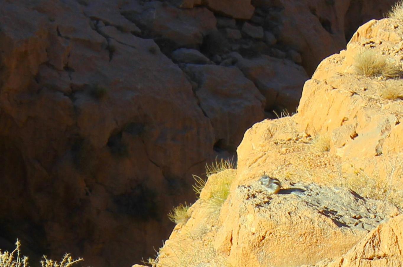 Akhendachou n'Ait Ouffi Kasbah Lucas旅舍 外观 照片