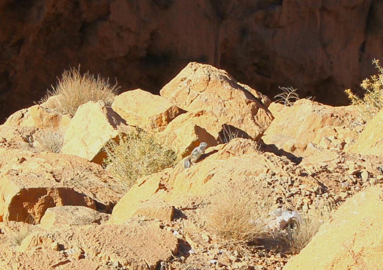 Akhendachou n'Ait Ouffi Kasbah Lucas旅舍 外观 照片