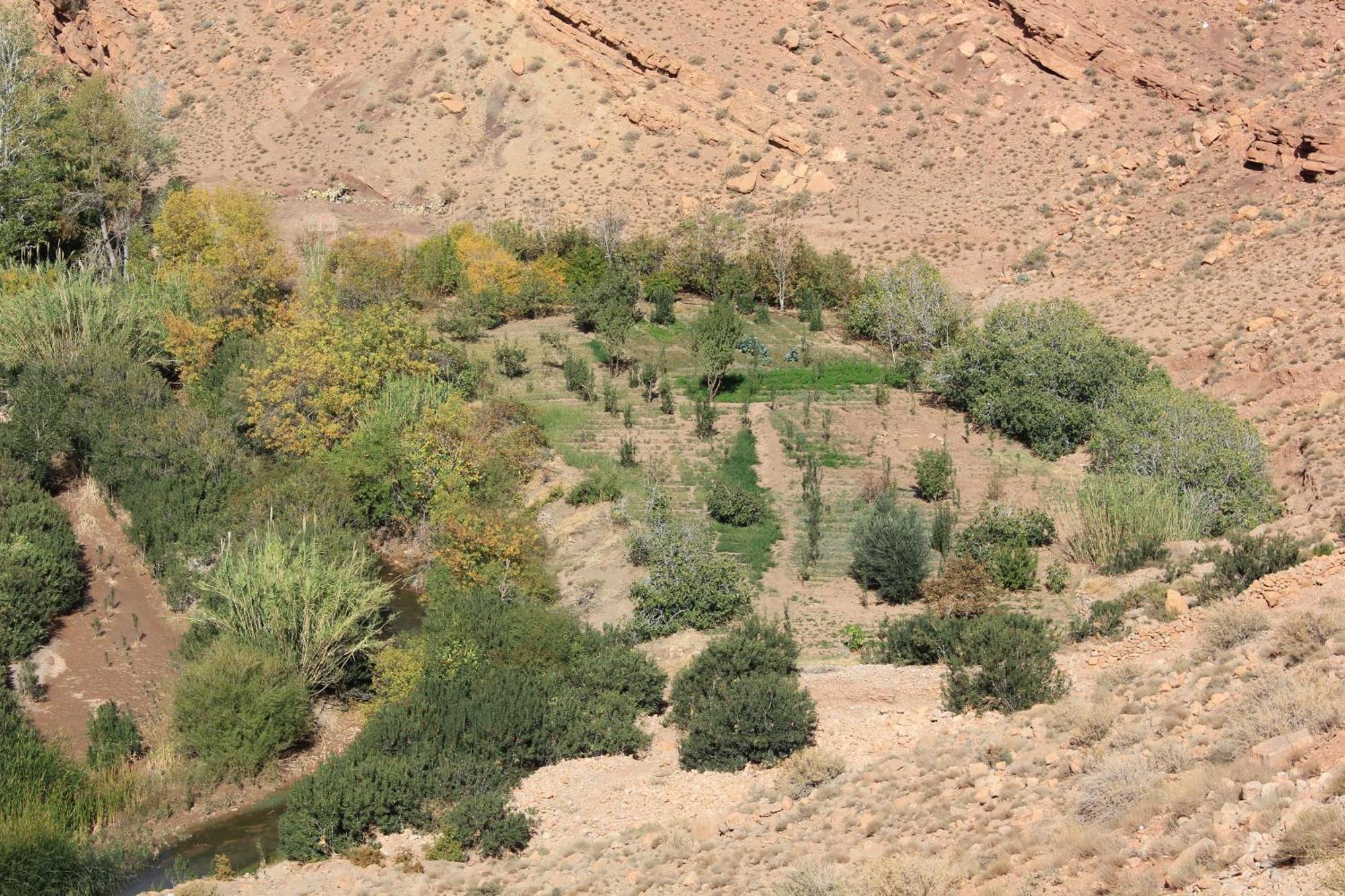 Akhendachou n'Ait Ouffi Kasbah Lucas旅舍 外观 照片