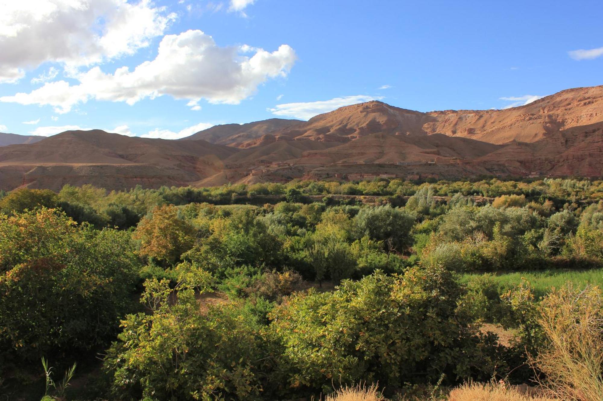 Akhendachou n'Ait Ouffi Kasbah Lucas旅舍 外观 照片